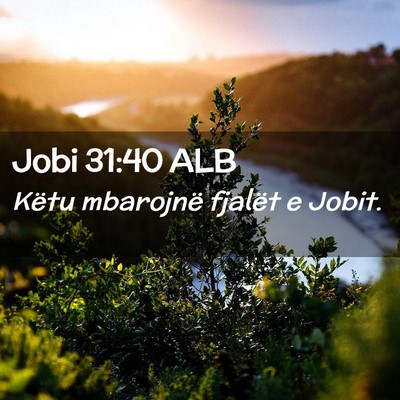 Picture 02 - Jobi 31:40 ALB - Këtu mbarojnë fjalët e - Bible Verse Picture