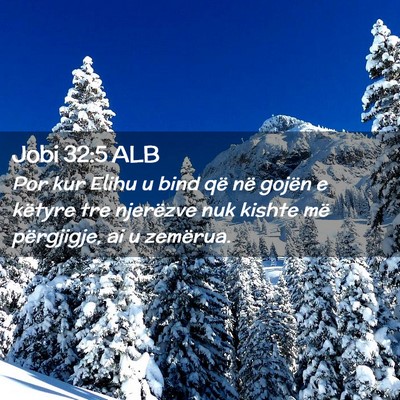 Picture 02 - Jobi 32:5 ALB - Por kur Elihu u bind që në gojën e këtyre tre - Bible Verse Picture