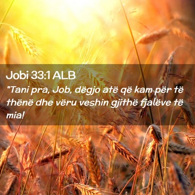 Picture 02 - Jobi 33:1 ALB - 