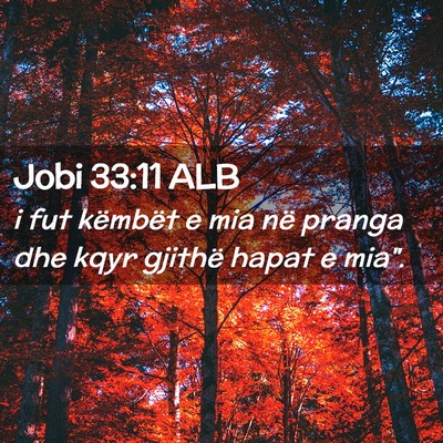 Picture 02 - Jobi 33:11 ALB - i fut këmbët e mia në pranga dhe kqyr gjithë - Bible Verse Picture