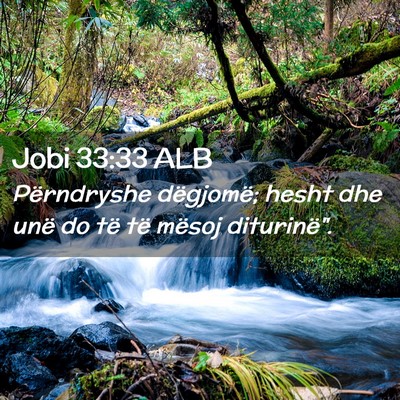 Picture 02 - Jobi 33:33 ALB - Përndryshe dëgjomë; hesht dhe unë do të të - Bible Verse Picture