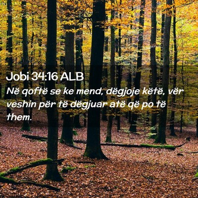 Picture 02 - Jobi 34:16 ALB - Në qoftë se ke mend, dëgjoje këtë, vër - Bible Verse Picture