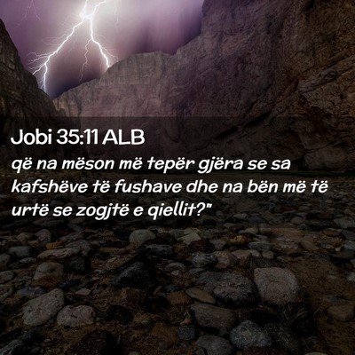 Picture 02 - Jobi 35:11 ALB - që na mëson më tepër gjëra se sa kafshëve - Bible Verse Picture