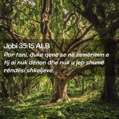 Picture 02 - Jobi 35:15 ALB - Por tani, duke qenë se në zemërimin e tij ai - Bible Verse Picture