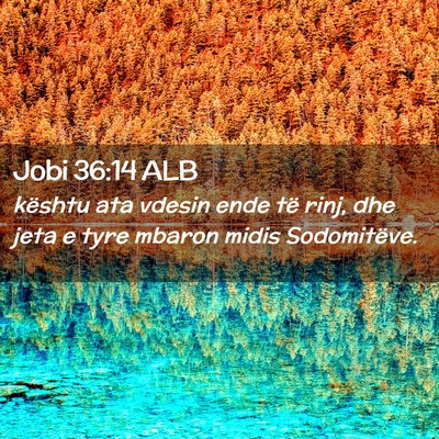 Picture 02 - Jobi 36:14 ALB - kështu ata vdesin ende të rinj, dhe jeta e tyre - Bible Verse Picture