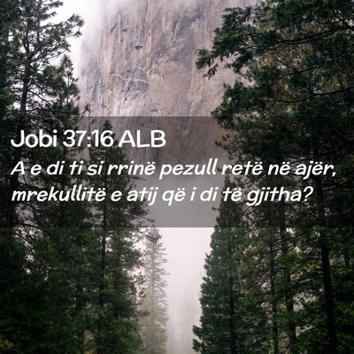 Picture 02 - Jobi 37:16 ALB - A e di ti si rrinë pezull retë në ajër, - Bible Verse Picture