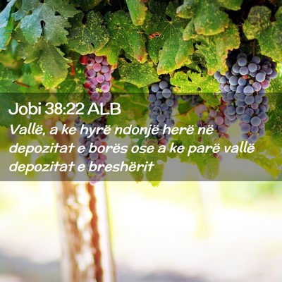 Picture 02 - Jobi 38:22 ALB - Vallë, a ke hyrë ndonjë herë në depozitat e - Bible Verse Picture
