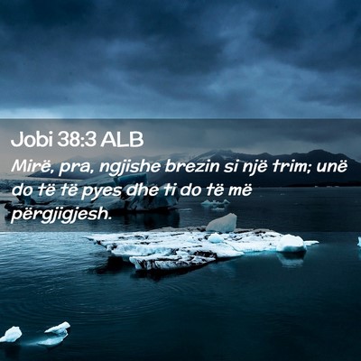 Picture 02 - Jobi 38:3 ALB - Mirë, pra, ngjishe brezin si një trim; unë do - Bible Verse Picture