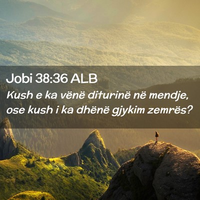 Picture 02 - Jobi 38:36 ALB - Kush e ka vënë diturinë në mendje, ose kush i - Bible Verse Picture