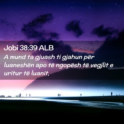 Picture 02 - Jobi 38:39 ALB - A mund ta gjuash ti gjahun për luaneshën apo - Bible Verse Picture