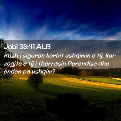 Picture 02 - Jobi 38:41 ALB - Kush i siguron korbit ushqimin e tij, kur zogjtë - Bible Verse Picture