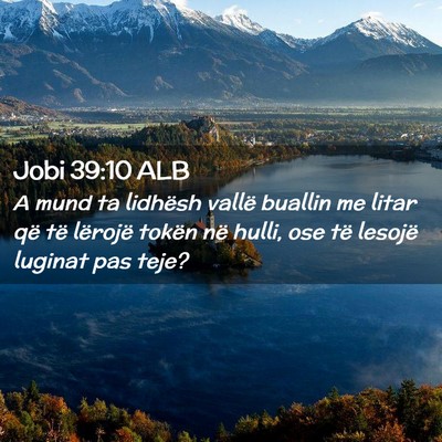 Picture 02 - Jobi 39:10 ALB - A mund ta lidhësh vallë buallin me litar që - Bible Verse Picture
