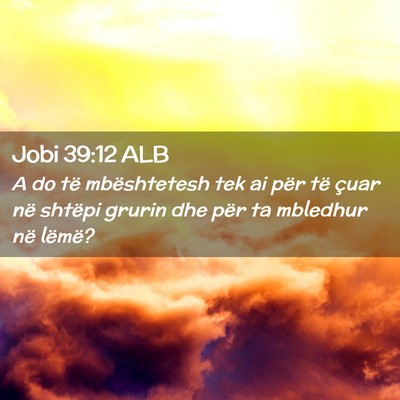 Picture 02 - Jobi 39:12 ALB - A do të mbështetesh tek ai për të çuar në - Bible Verse Picture