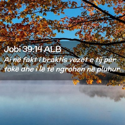 Picture 02 - Jobi 39:14 ALB - Ai në fakt i braktis vezët e tij për tokë dhe - Bible Verse Picture