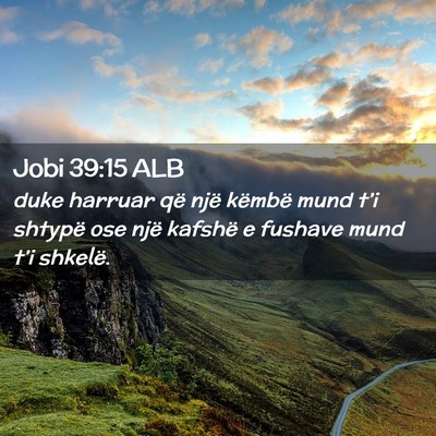 Picture 02 - Jobi 39:15 ALB - duke harruar që një këmbë mund t’i shtypë - Bible Verse Picture