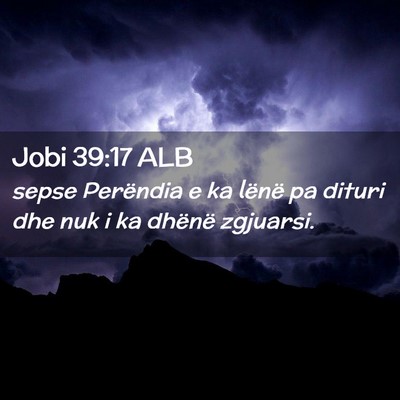 Picture 02 - Jobi 39:17 ALB - sepse Perëndia e ka lënë pa dituri dhe nuk i - Bible Verse Picture