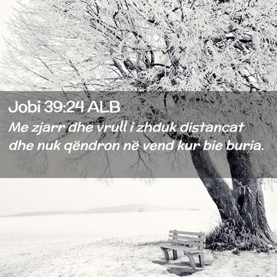 Picture 02 - Jobi 39:24 ALB - Me zjarr dhe vrull i zhduk distancat dhe nuk - Bible Verse Picture