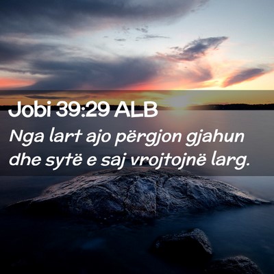 Picture 02 - Jobi 39:29 ALB - Nga lart ajo përgjon gjahun dhe sytë e saj - Bible Verse Picture