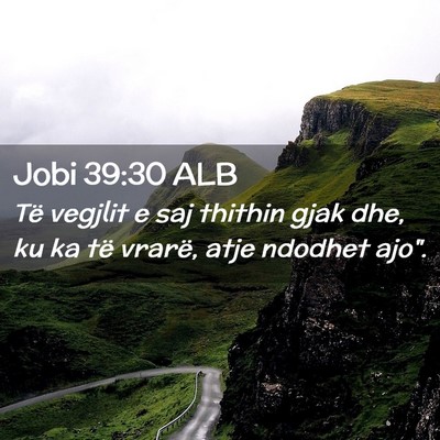 Picture 02 - Jobi 39:30 ALB - Të vegjlit e saj thithin gjak dhe, ku ka të - Bible Verse Picture