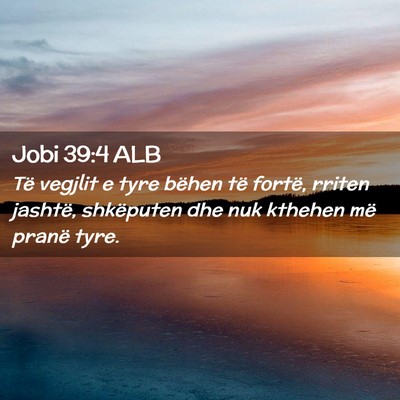 Picture 02 - Jobi 39:4 ALB - Të vegjlit e tyre bëhen të fortë, rriten - Bible Verse Picture