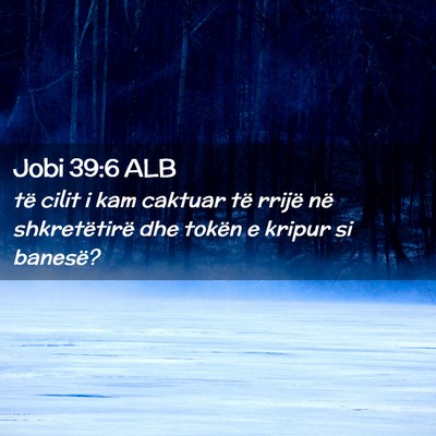 Picture 02 - Jobi 39:6 ALB - të cilit i kam caktuar të rrijë në - Bible Verse Picture