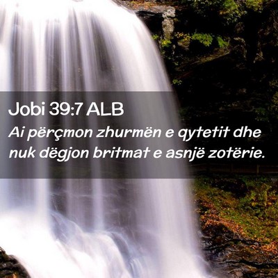 Picture 02 - Jobi 39:7 ALB - Ai përçmon zhurmën e qytetit dhe nuk dëgjon - Bible Verse Picture