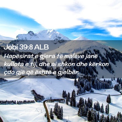 Picture 02 - Jobi 39:8 ALB - Hapësirat e gjera të maleve janë kullota e - Bible Verse Picture