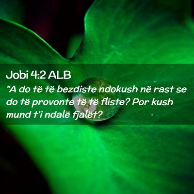 Picture 02 - Jobi 4:2 ALB - 