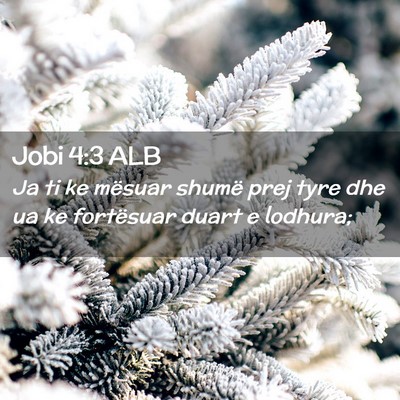 Picture 02 - Jobi 4:3 ALB - Ja ti ke mësuar shumë prej tyre dhe ua ke - Bible Verse Picture