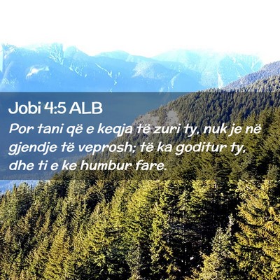 Picture 02 - Jobi 4:5 ALB - Por tani që e keqja të zuri ty, nuk je në - Bible Verse Picture