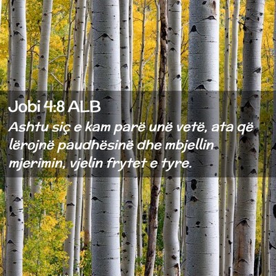 Picture 02 - Jobi 4:8 ALB - Ashtu siç e kam parë unë vetë, ata që - Bible Verse Picture