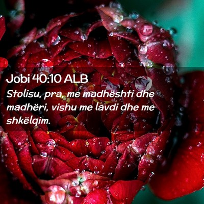 Picture 02 - Jobi 40:10 ALB - Stolisu, pra, me madhështi dhe madhëri, vishu - Bible Verse Picture