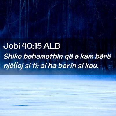 Picture 02 - Jobi 40:15 ALB - Shiko behemothin që e kam bërë njëlloj si ti; - Bible Verse Picture