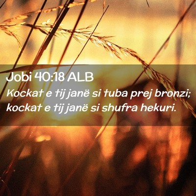 Picture 02 - Jobi 40:18 ALB - Kockat e tij janë si tuba prej bronzi; kockat e - Bible Verse Picture