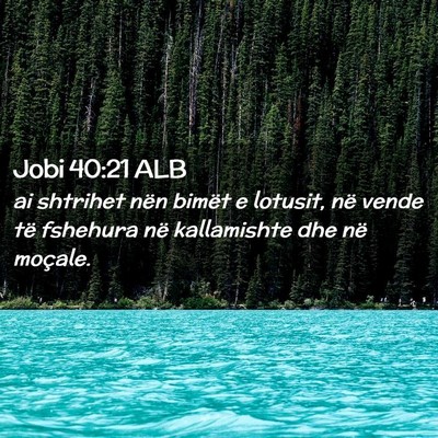 Picture 02 - Jobi 40:21 ALB - ai shtrihet nën bimët e lotusit, në vende të - Bible Verse Picture