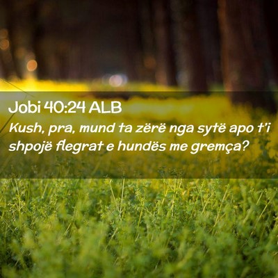 Picture 02 - Jobi 40:24 ALB - Kush, pra, mund ta zërë nga sytë apo t’i - Bible Verse Picture