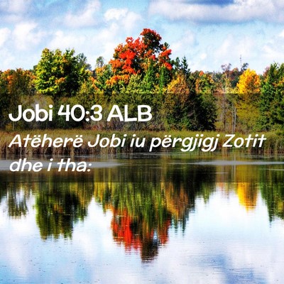 Picture 02 - Jobi 40:3 ALB - Atëherë Jobi iu përgjigj Zotit dhe i - Bible Verse Picture