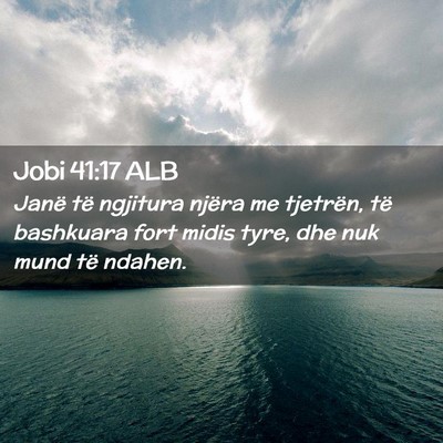 Picture 02 - Jobi 41:17 ALB - Janë të ngjitura njëra me tjetrën, të - Bible Verse Picture