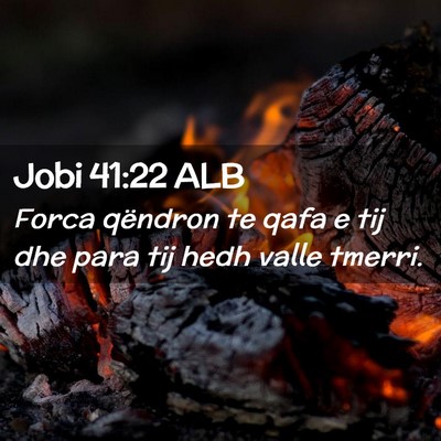 Picture 02 - Jobi 41:22 ALB - Forca qëndron te qafa e tij dhe para tij hedh - Bible Verse Picture