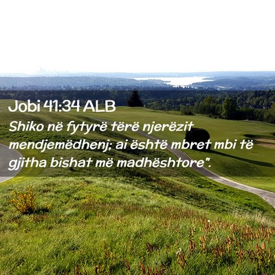 Picture 02 - Jobi 41:34 ALB - Shiko në fytyrë tërë njerëzit - Bible Verse Picture