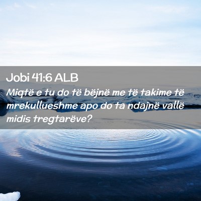 Picture 02 - Jobi 41:6 ALB - Miqtë e tu do të bëjnë me të takime të - Bible Verse Picture