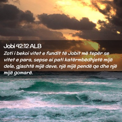 Picture 02 - Jobi 42:12 ALB - Zoti i bekoi vitet e fundit të Jobit më tepër - Bible Verse Picture