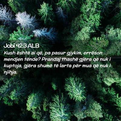 Picture 02 - Jobi 42:3 ALB - Kush është ai që, pa pasur gjykim, errëson - Bible Verse Picture