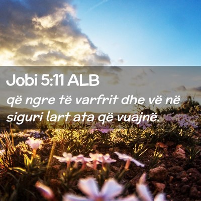 Picture 02 - Jobi 5:11 ALB - që ngre të varfrit dhe vë në siguri lart ata - Bible Verse Picture