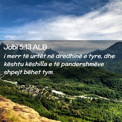 Picture 02 - Jobi 5:13 ALB - i merr të urtët në dredhinë e tyre, dhe - Bible Verse Picture