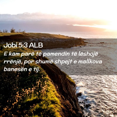 Picture 02 - Jobi 5:3 ALB - E kam parë të pamendin të lëshojë rrënjë, - Bible Verse Picture