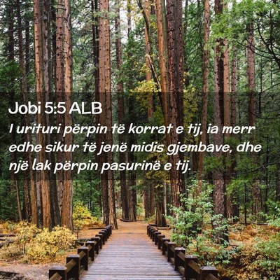 Picture 02 - Jobi 5:5 ALB - I urituri përpin të korrat e tij, ia merr edhe - Bible Verse Picture