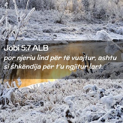 Picture 02 - Jobi 5:7 ALB - por njeriu lind për të vuajtur, ashtu si - Bible Verse Picture