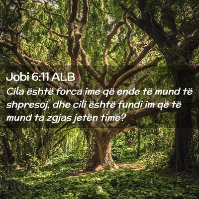 Picture 02 - Jobi 6:11 ALB - Cila është forca ime që ende të mund të - Bible Verse Picture