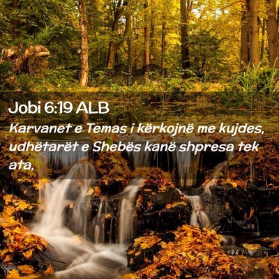 Picture 02 - Jobi 6:19 ALB - Karvanet e Temas i kërkojnë me kujdes, - Bible Verse Picture
